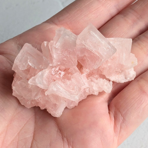 pink- pink-